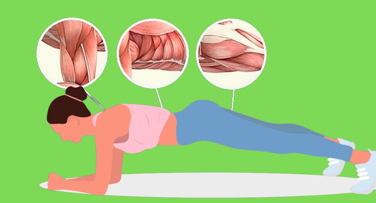 Plancha: el ejercicio perfecto para fortalecer y tonificar el abdomen con sólo unos minutos al día